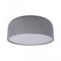 Потолочный светильник Axel 10201/350 Grey