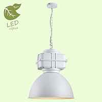 Подвесной светильник Lussole Arta GRLSP-9827 - цена и фото