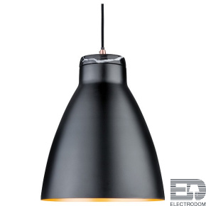 Подвесной светильник Paulmann Roald 79609 - цена и фото