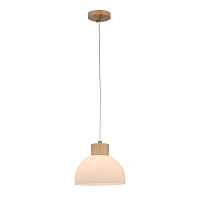 Подвесной светильник Arte Lamp Caprice A4184SP-1BR - цена и фото