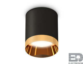 Комплект накладного светильника XS6302024 SBK/PYG черный песок/золото желтое полированное MR16 GU5.3 (C6302, N6134) - цена и фото