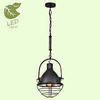 Подвесной светильник Lussole LSP-9989 GRLSP-9989 - цена и фото