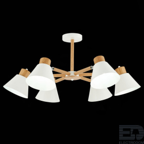 Светильник потолочный Evoluce Buve SLE103702-06 - цена и фото