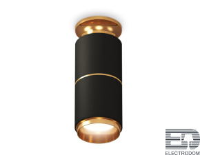 Комплект накладного светильника XS6302240 SBK/PYG черный песок/золото желтое полированное MR16 GU5.3 (N6905, C6302, A2062, N6124) - цена и фото
