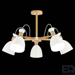 Светильник потолочный Evoluce Balcamo SLE103802-05 - цена и фото