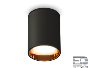 Комплект накладного светильника XS6313023 SBK/PYG черный песок/золото желтое полированное MR16 GU5.3 (C6313, N6113) - цена и фото