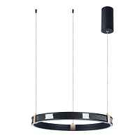 Подвесной светодиодный светильник Arte Lamp Shine A2222SP-1BK - цена и фото