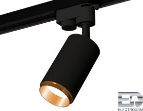 Комплект трекового однофазного светильника XT6323044 SBK/PYG черный песок/золото желтое полированное MR16 GU5.3 (A2521, C6323, N6124) - цена и фото