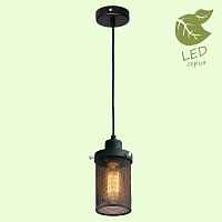 Подвесной светильник Lussole Freeport GRLSP-9672 - цена и фото