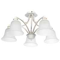 Потолочный светильник Arte Lamp EMMA A2713PL-5WG - цена и фото