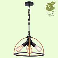 Подвесной светильник Lussole Cornville GRLSP-8576 - цена и фото