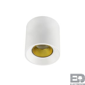 Накладной светильник Denkirs DK3040 DK3090-WH+YE - цена и фото