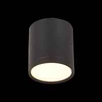 Светильник потолочный ST-Luce RENE ST113.432.05 - цена и фото