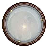 Настенно-потолочный светильник Sonex Lufe Wood 236 - цена и фото