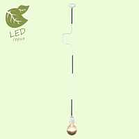 Подвесной светильник Lussole Loft GRLSP-9890 - цена и фото