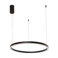 Подвесной светодиодный светильник Arte Lamp Smooth A2223SP-1BK - цена и фото