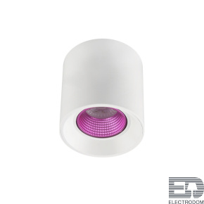 Накладной светильник Denkirs DK3040 DK3090-WH+PI - цена и фото